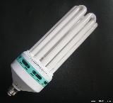 6U power saving light bulbs