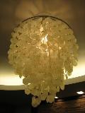 Shell ceiling Lamp&lights
