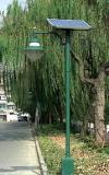 3.5m Height Pole Solar Garden Lamps (SCL-S6)