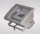 Electrodeless Lamp WJD-1541