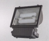 Electrodeless Lamp WJD-1542