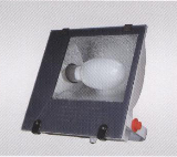 Electrodeless Lamp WJD-1529