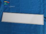 LED Panel Lamp TAJ-PALH-300*1200