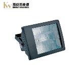 HID FLOODLIGHT 