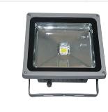 30W LED Flood Light 