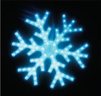 LED Snow Flake Light