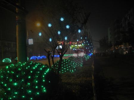 Snow Light   BZ24/10 W.XH-01 