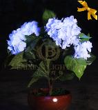LED bonsai light