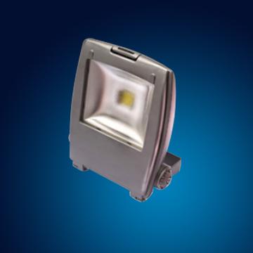 LED Flood light