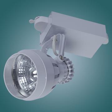 Ceiling track light
