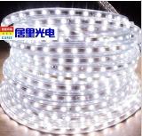 220V high-voltage SMD3528 LED Flexible strip light series