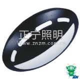 IP66 LED ceiling lamp (ZNXD0200D07T-C)