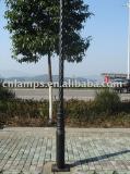 2012 hot selled decorative 10 meters lighting pole