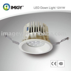 LED Down Light 12*1W