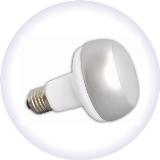 Energy saving lamps R80D 15W