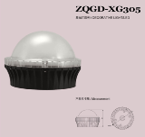 DECORATIVE LIGHT/LED,ZQGD-XG305