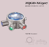 DECORATIVE LIGHT/LED,ZQGD-XG307