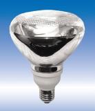 R38 23W Floodlight compact fluorescent light bulb