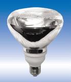 R38 20W Floodlight compact fluorescent light bulb
