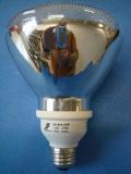 Par38 energy saving lamp/bulb/light-CFL