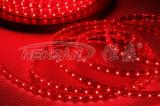 220v SMD LED Strips