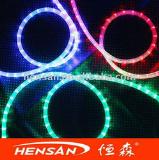 (CE, RoHS approved) round 2 wires LED rope light