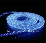 Factory Price! Chasing LED Rope Light