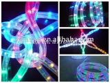 LED rope light round 3 wires