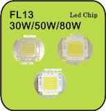 led chip-FL13-30W/50W/80W