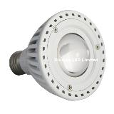 Compositive 15W PAR Light