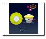 Sensor Light  A54-Y