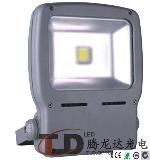 80w Led Floodlight Outdoor Light with Led