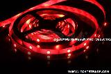 5050 non-waterproof led strip(30LEDs/m) (red)