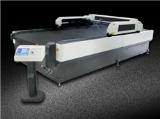 CJGS-250300LD double Y axis moving system