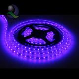 Water-Proof LED Flexible Strip (QB-SMD5050-60)