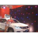 RGB LED Star Curtain light YK-C001RGB