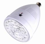 Rechargeable LED Light 10234R