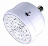 Rechargeable LED Light 10334R