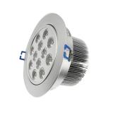 12W LED Ceiling Lamp