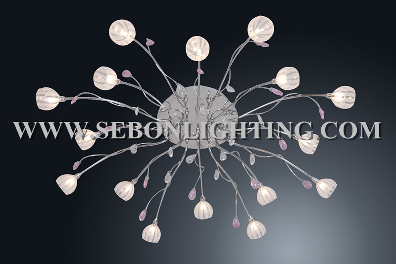 Sebon hot sale ceiling light(SBC5148-16)