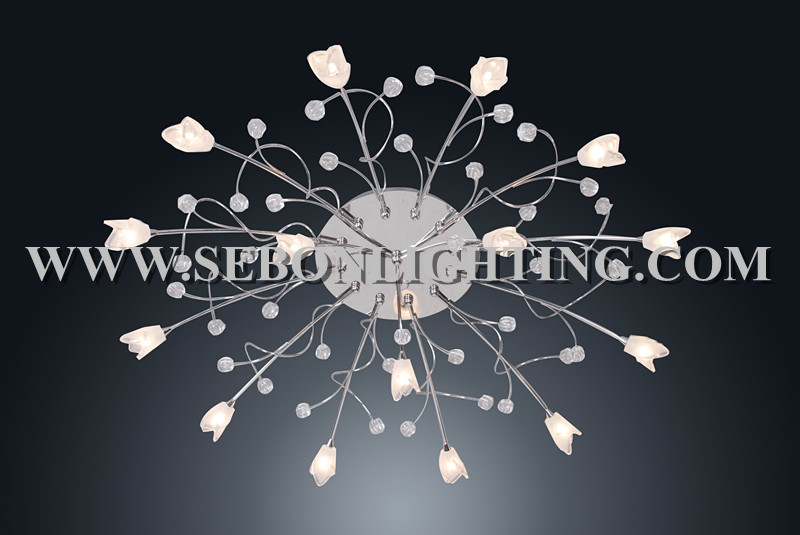 Sebon hot sale ceiling light(SBC5149-15)