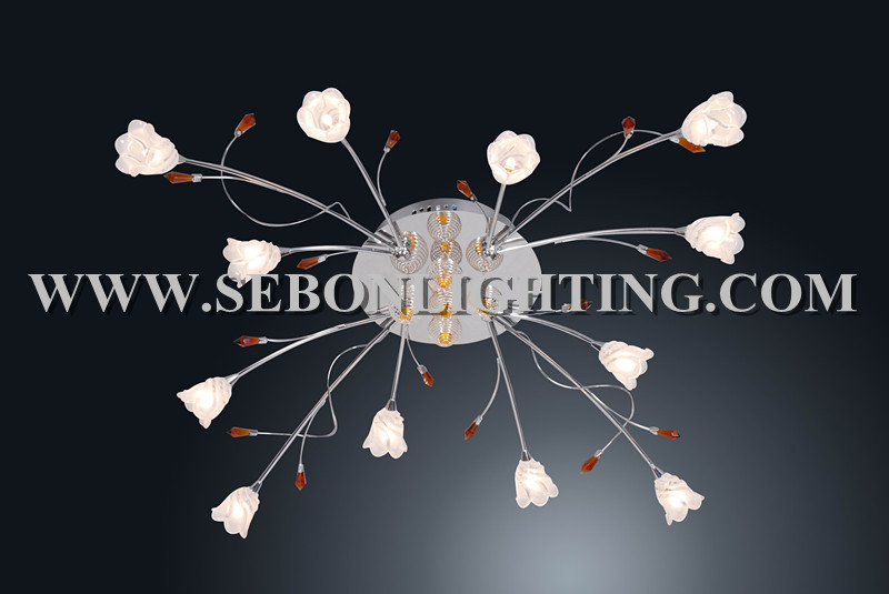 Sebon hot sale ceiling light(SBC5150-12)