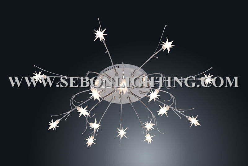 Sebon hot sale ceiling light(SBC5152-16)