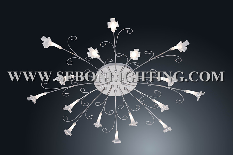 Sebon hot sale ceiling light(SBC5154-16)