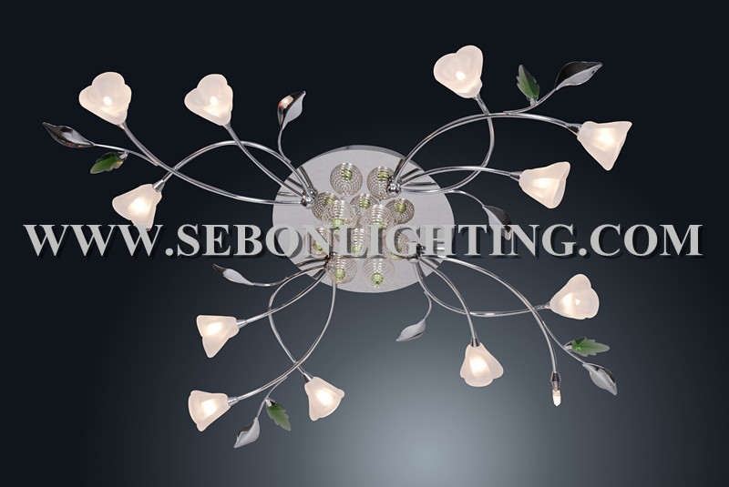 Sebon hot sale ceiling light(SBC5156-12-LED)