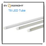 15W SMD3528 G13 1600lm LED T8 Fluorescent Tube