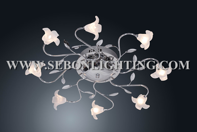 Sebon hot sale ceiling light(SBC5160-8)