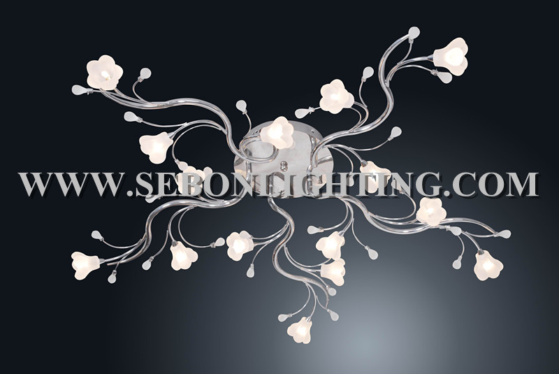 Sebon hot sale ceiling light(SBC5173-15)