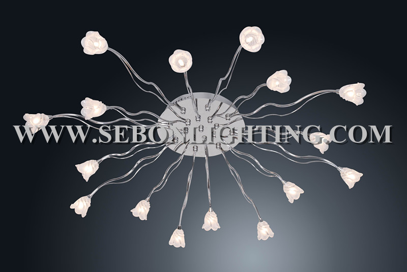 Sebon hot sale ceiling light(SBC5190-16)