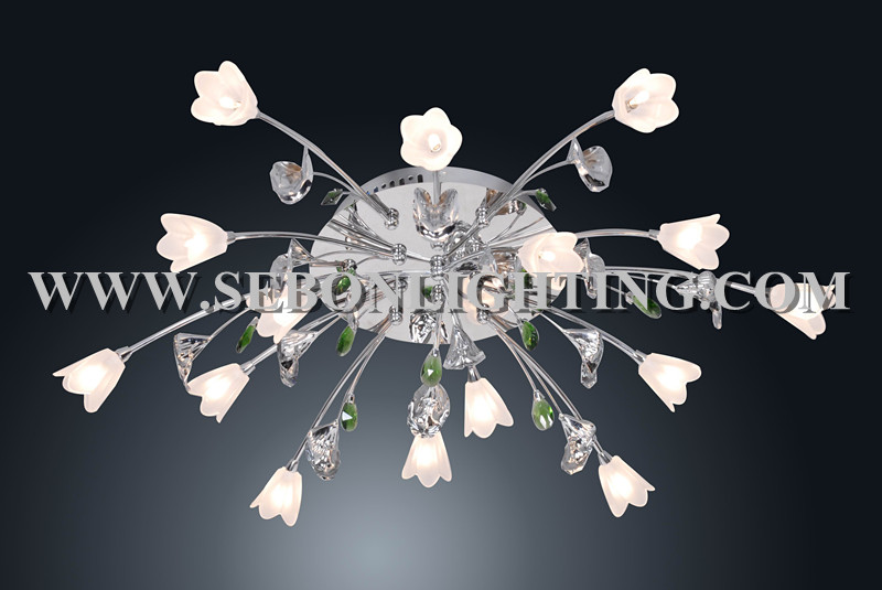 Sebon hot sale ceiling light(SBC5193-15)